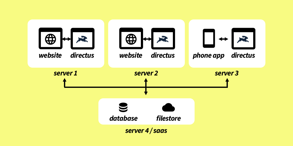 Multi-Server design with Website/App and Directus running on 3 servers with a central database and file store.