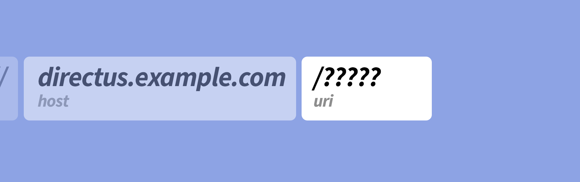 What is the Directus API URL?