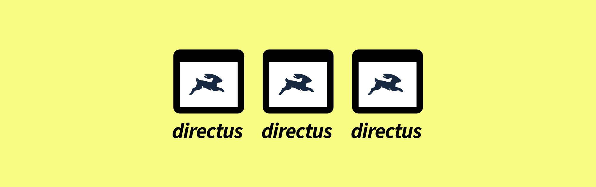 How to Manage Multiple Projects in Directus