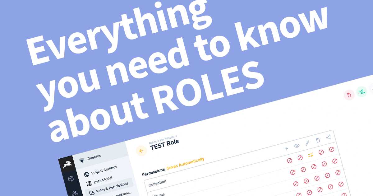 Everything you need to know about Directus Roles