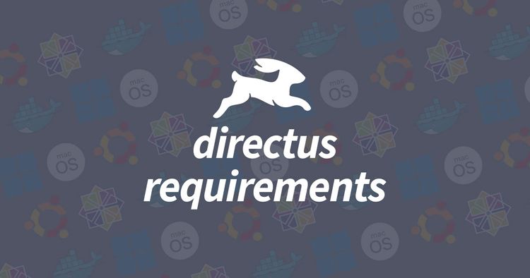 How you can meet the Directus Requirements?