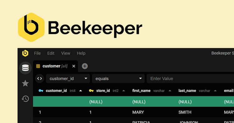 Using Beekeeper Studio with Directus