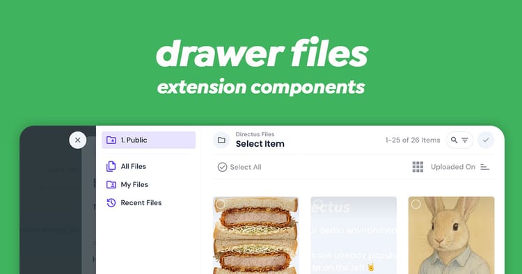 Drawer Files Component